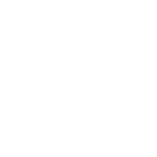 Palapa